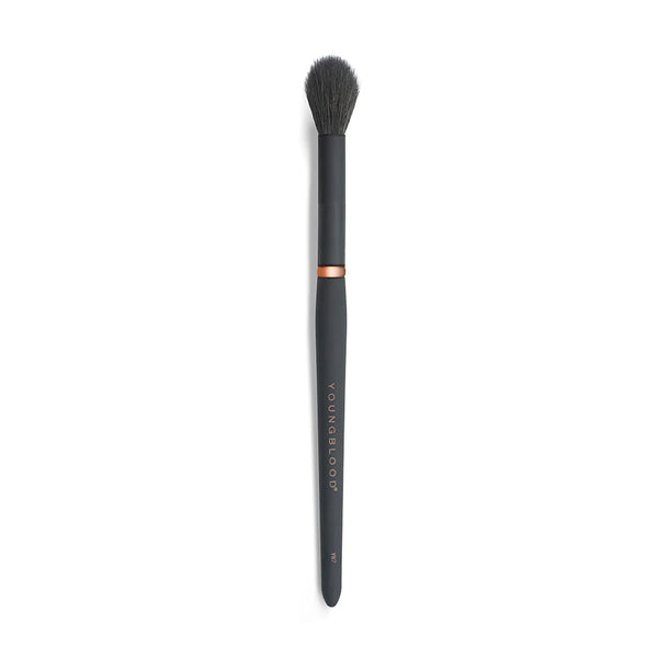 YB7 HIGHLIGHT BRUSH