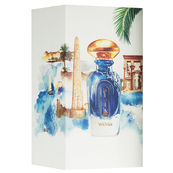 Aswan EDP