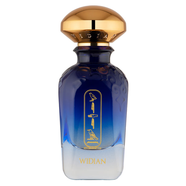 Aswan EDP